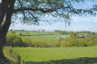 Photo depicts woodland information